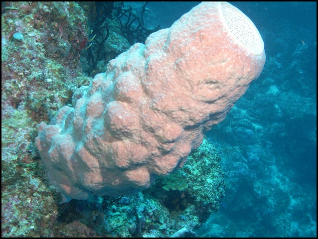 M0010538.JPG