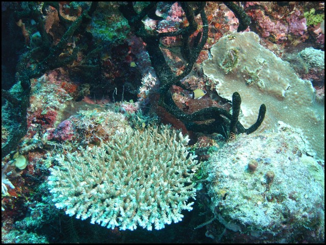 M0010541.JPG