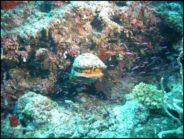 M0010549.JPG