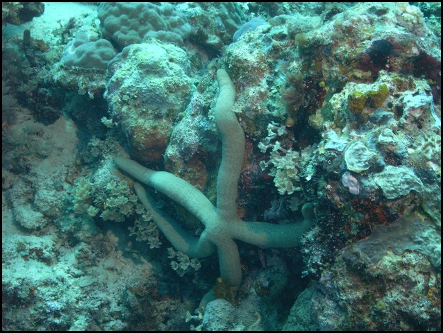 M0010565.JPG