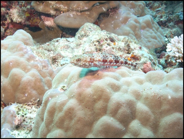 M0010571.JPG