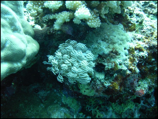M0010581.JPG
