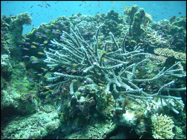 M0010585.JPG