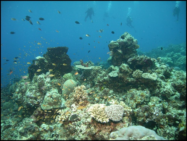 M0010591.JPG