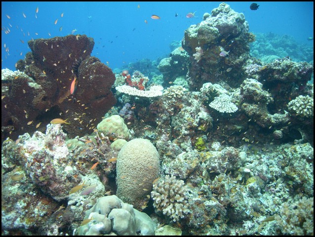M0010592.JPG