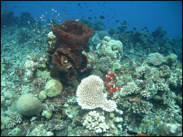 M0010596.JPG