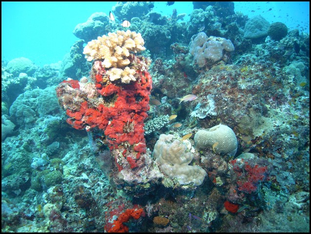 M0010600.JPG