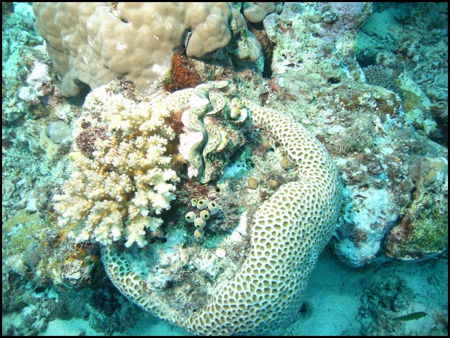M0010601.JPG