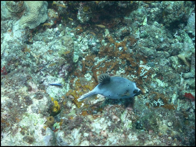 M0010606.JPG