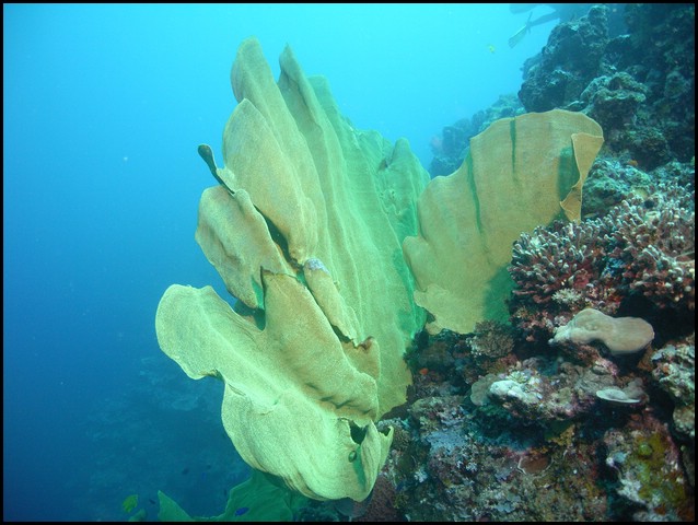 M0010697.JPG