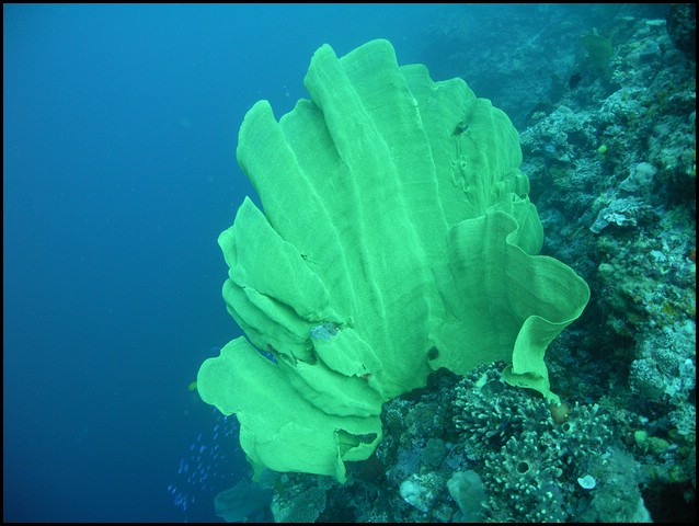 M0010699.JPG