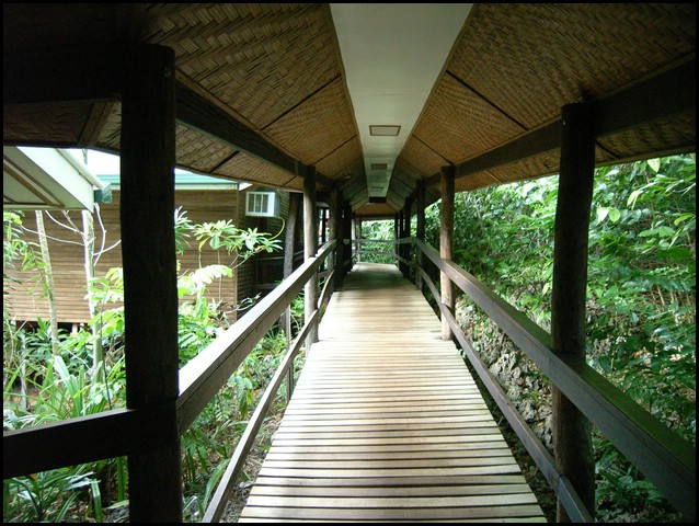 M0010779.JPG