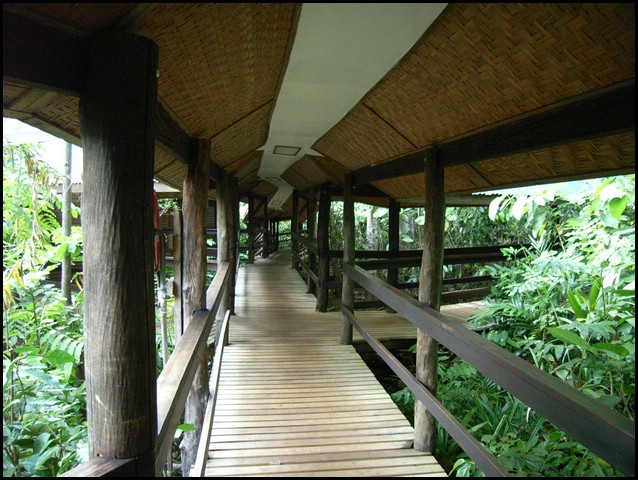 M0010782.JPG
