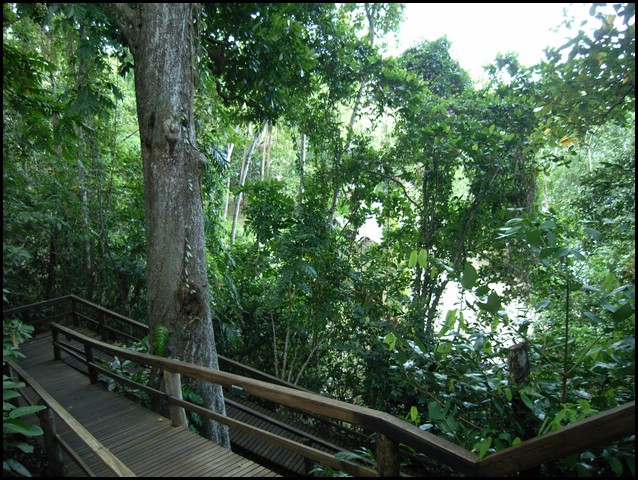 M0010788.JPG