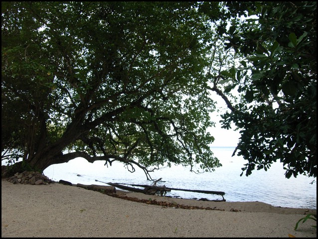 M0010791.JPG