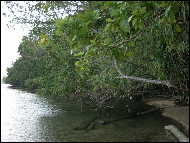M0010795.JPG
