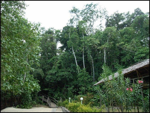 M0010804.JPG