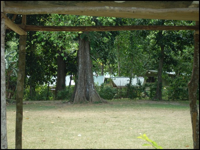 M0010805.JPG