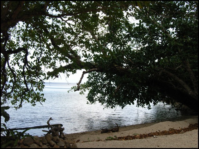 M0010806.JPG