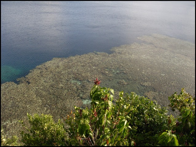 M0010846.JPG