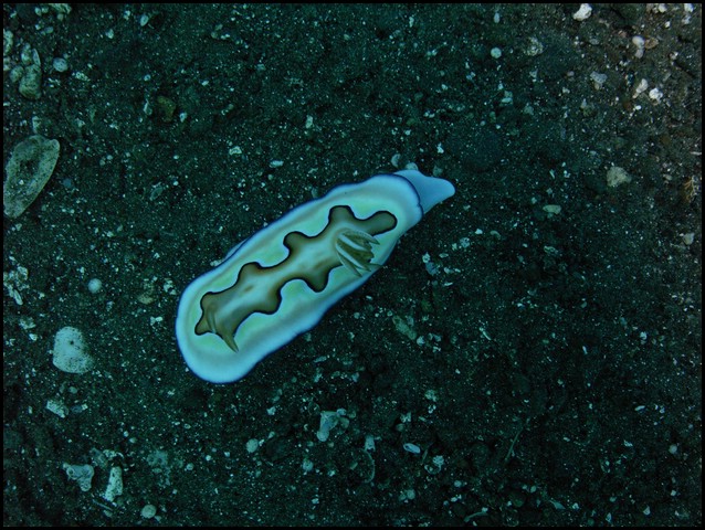 M0010891.JPG