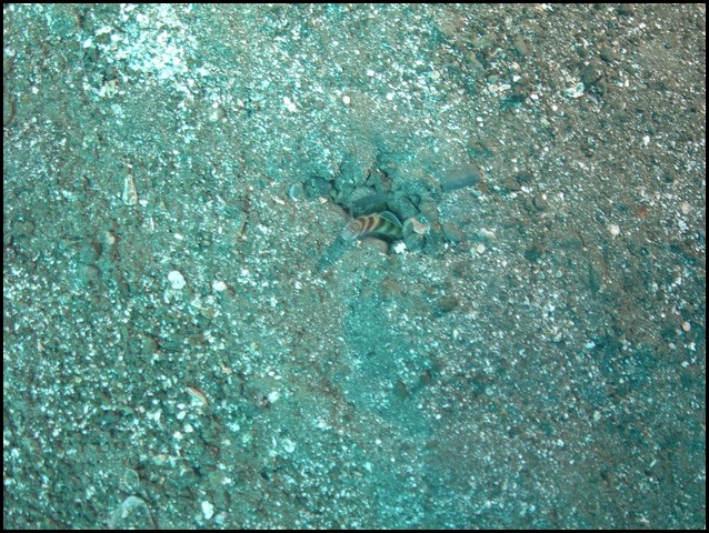 M0010899.JPG