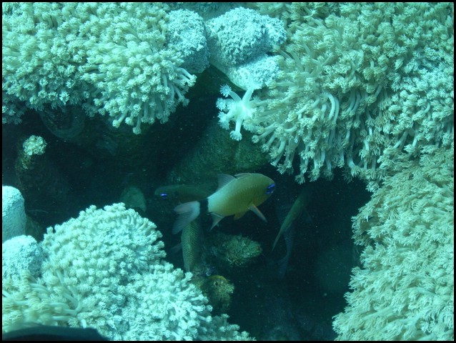 M0010927.JPG