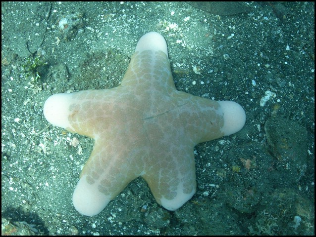 M0010949.JPG
