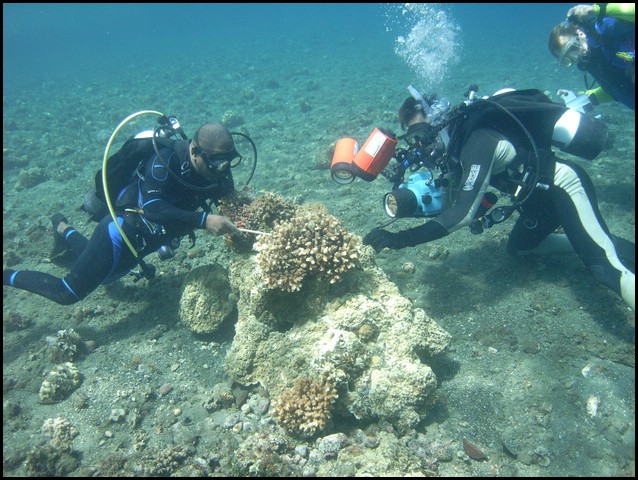 M0010950.JPG