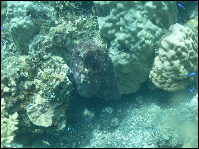 M0010970.JPG