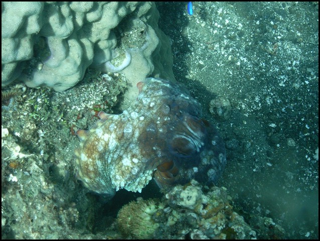 M0010971.JPG