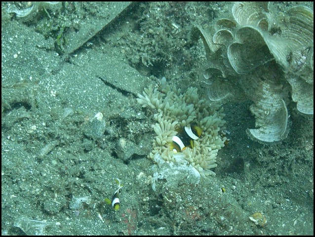 M0010975.JPG