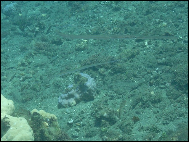 M0010978.JPG