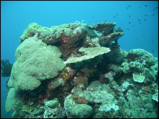 M0010984.JPG