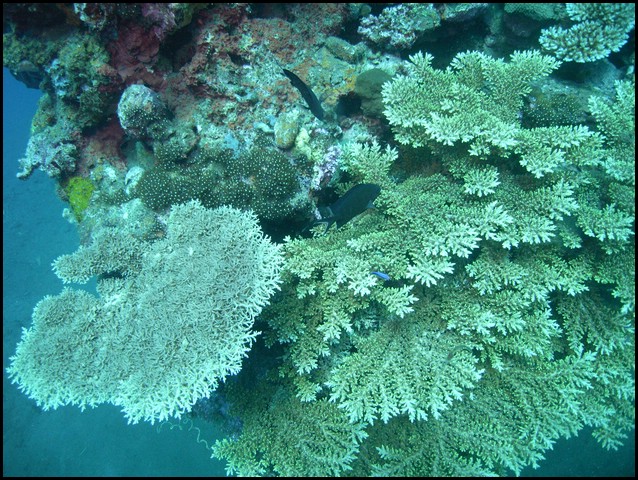 M0010990.JPG