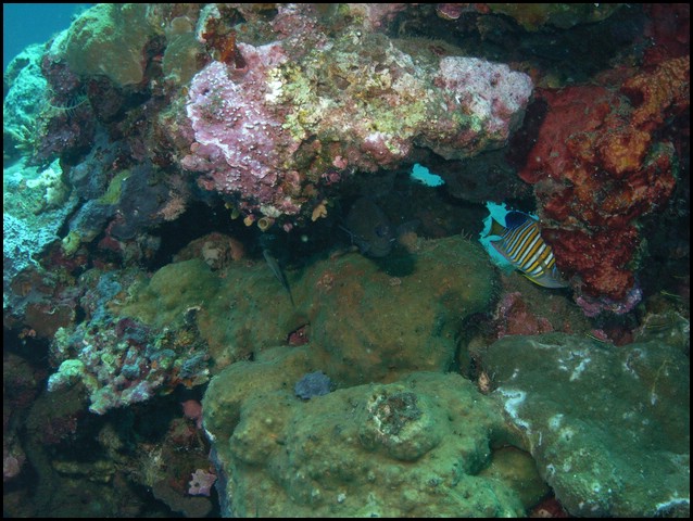 M0011005.JPG