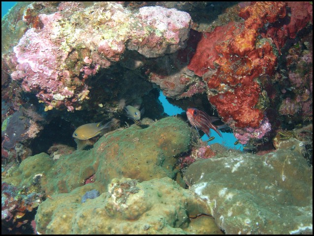 M0011008.JPG