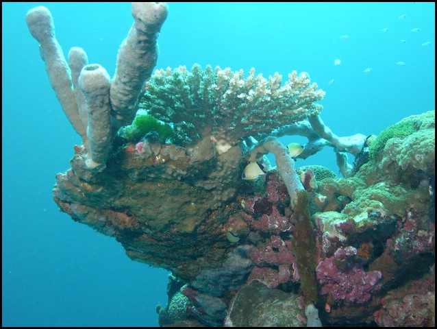 M0011011.JPG