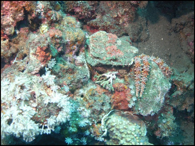 M0011016.JPG