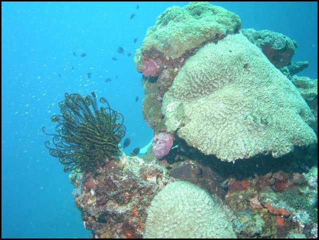 M0011029.JPG