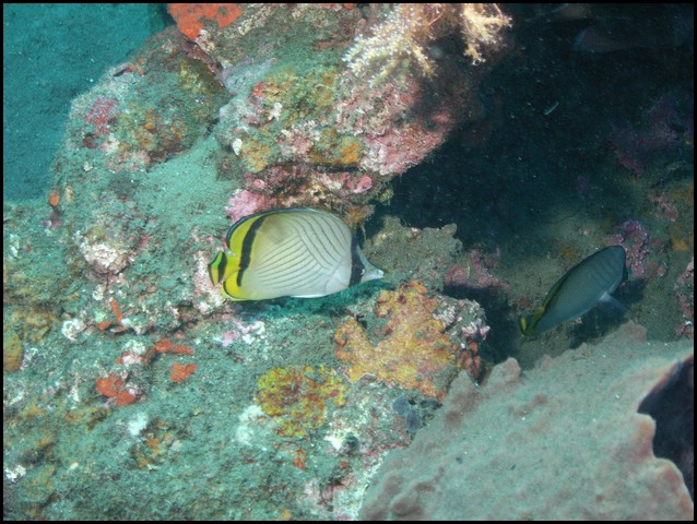 M0011031.JPG