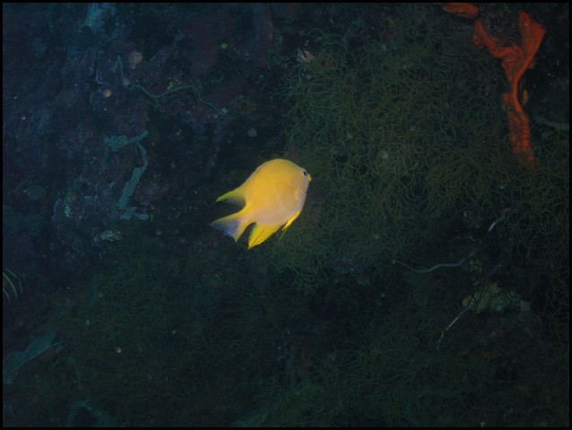 M0011034.JPG