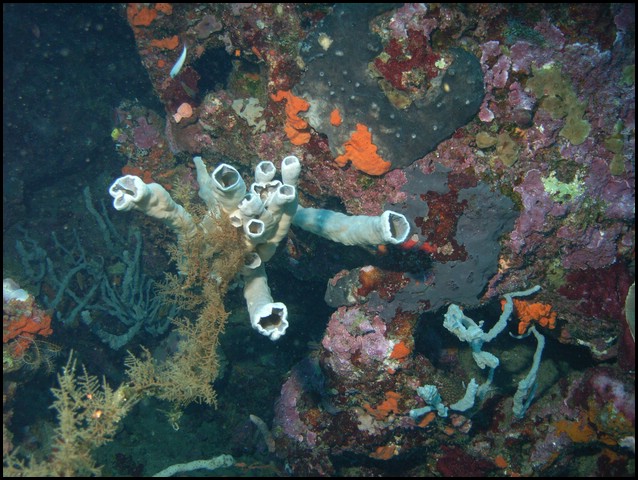 M0011036.JPG