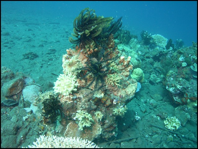 M0011056.JPG