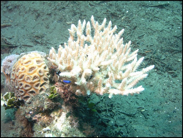M0011059.JPG