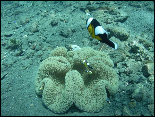 M0011083.JPG