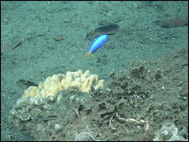 M0011097.JPG