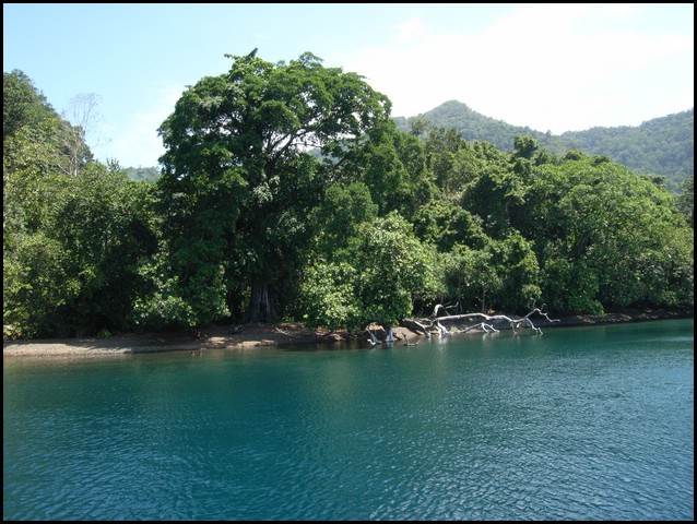 M0011110.JPG