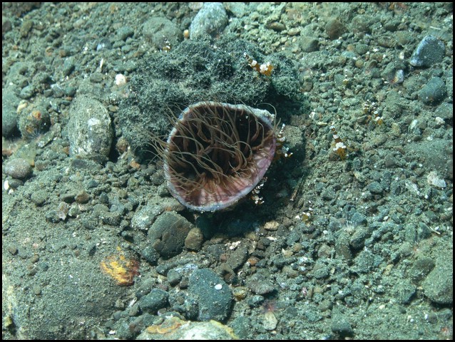 M0011144.JPG