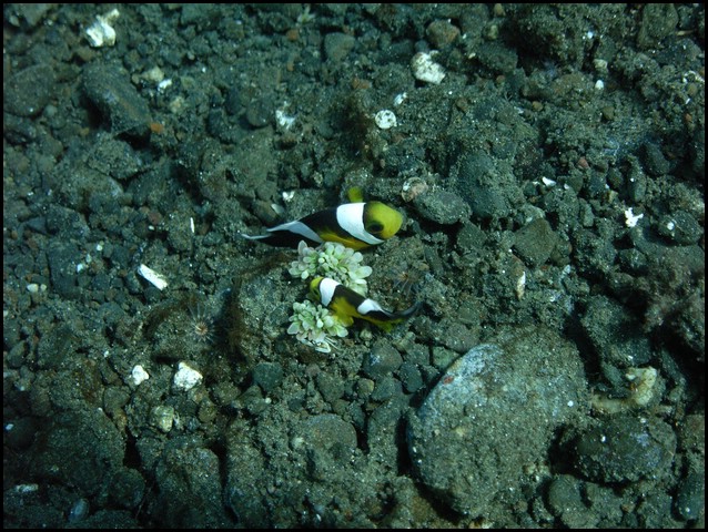 M0011148.JPG